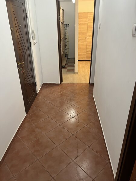 Aviatiei, Capalna, Promenada mall